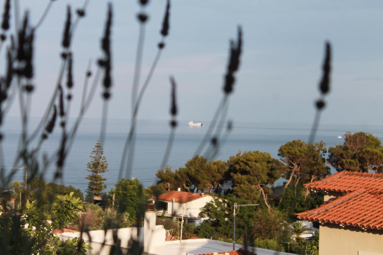 Sea View Apartment 15 Min From Athens Airport Nea Makri Luaran gambar